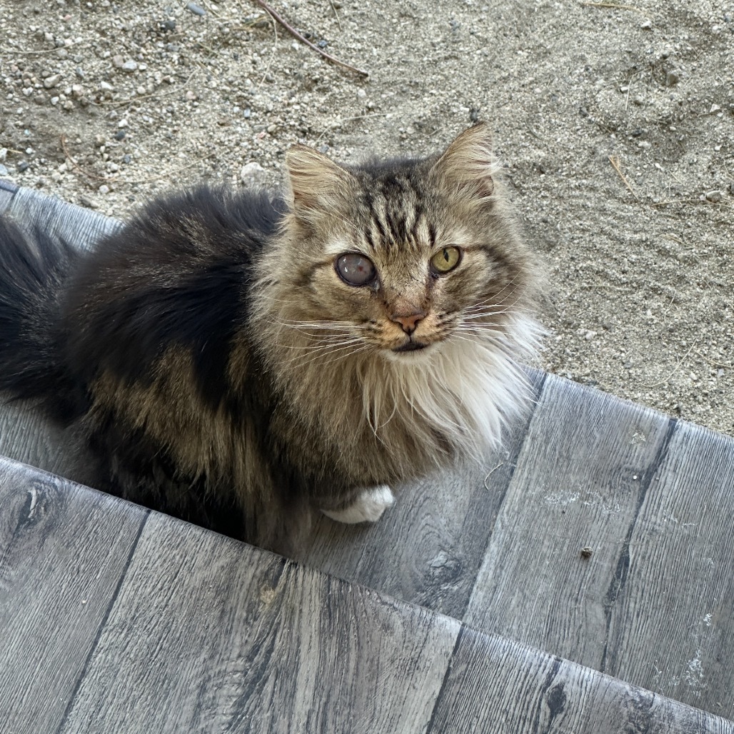 Jack