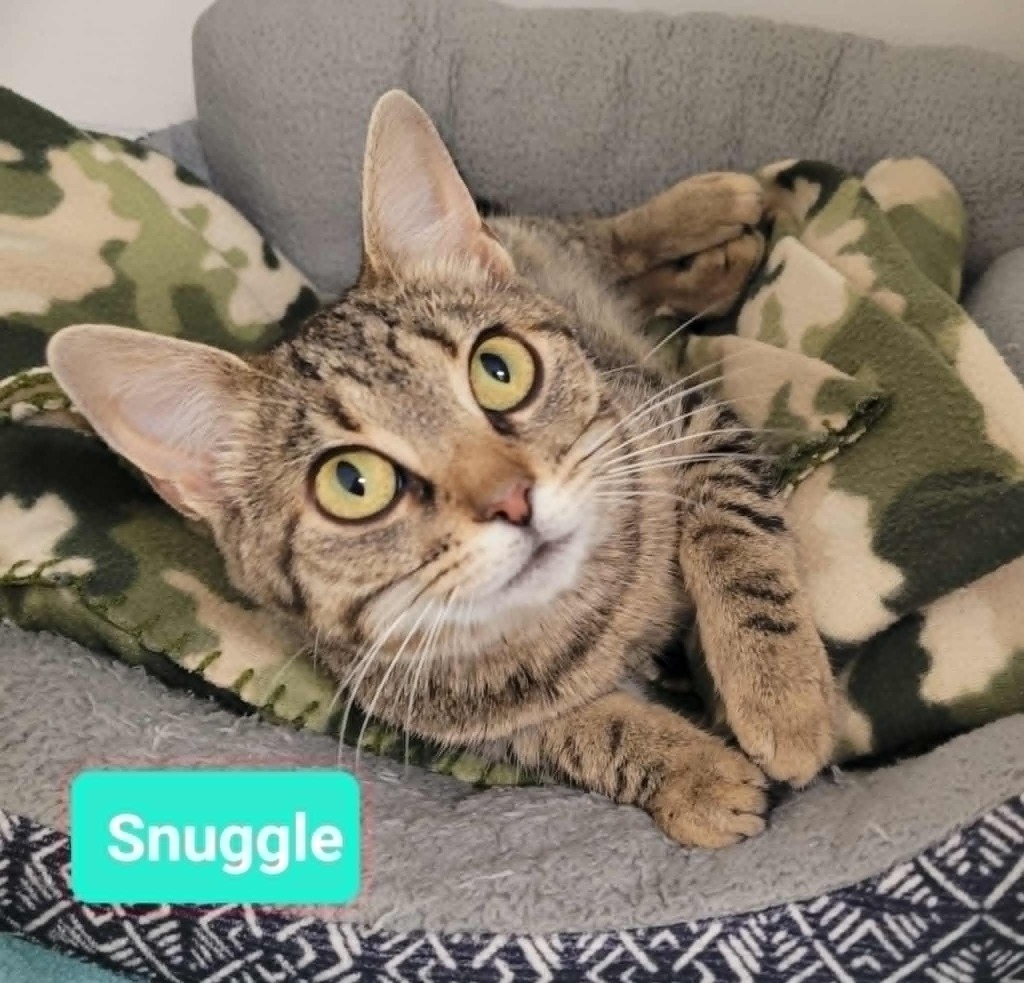 Snuggle