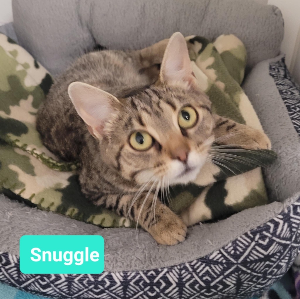 Snuggle
