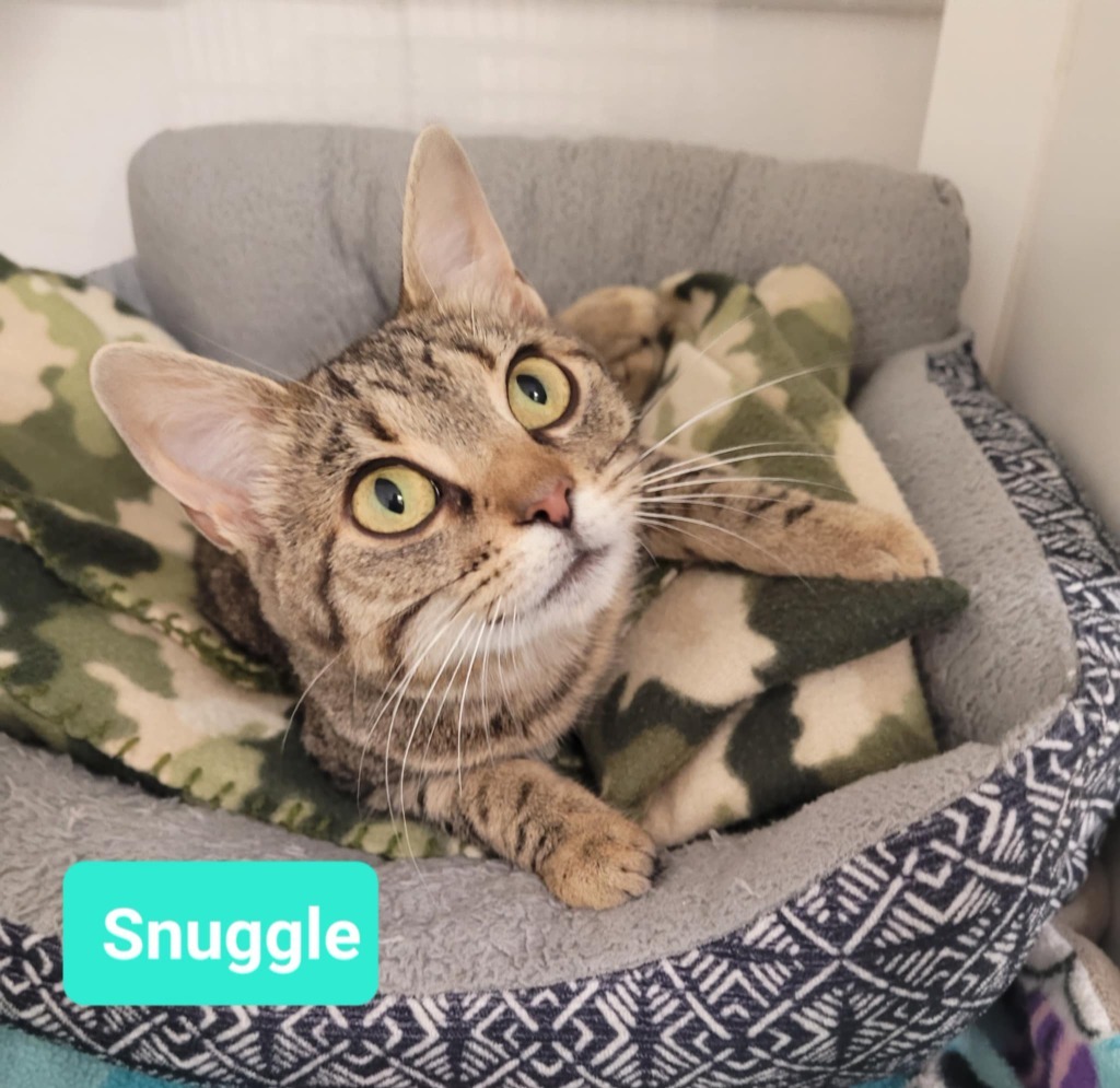 Snuggle