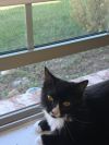 Keegan