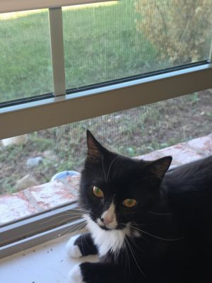 Keegan