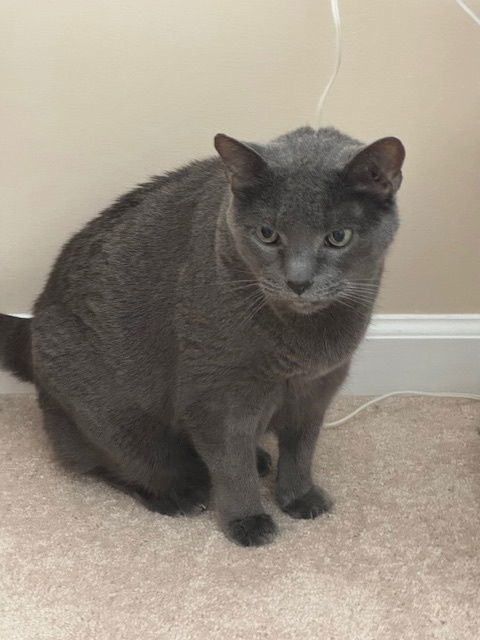 Smokey Senior