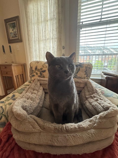 Smokey Senior