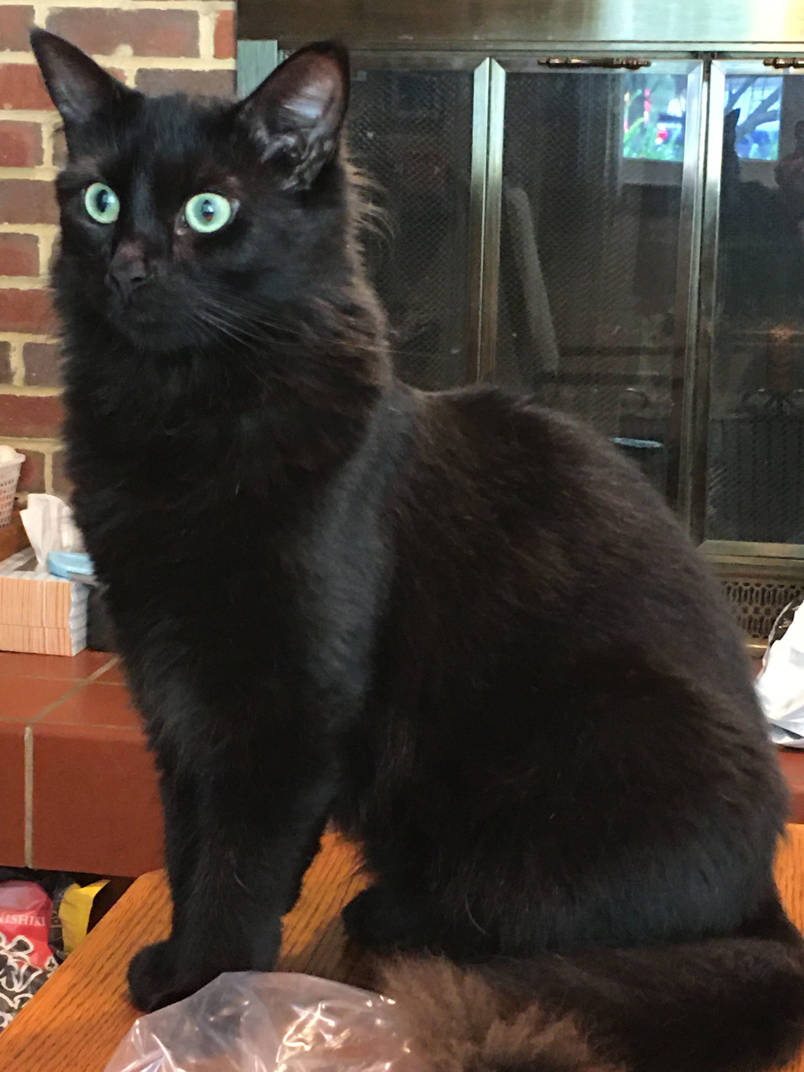 Sophie