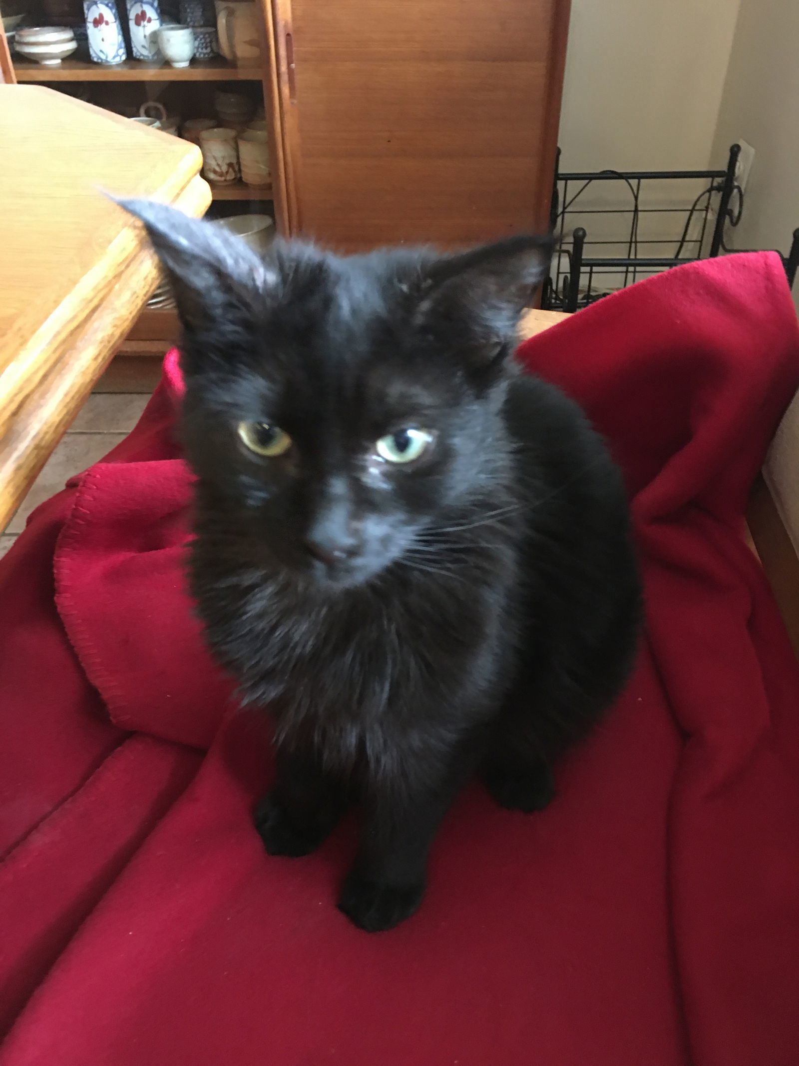 Sophie