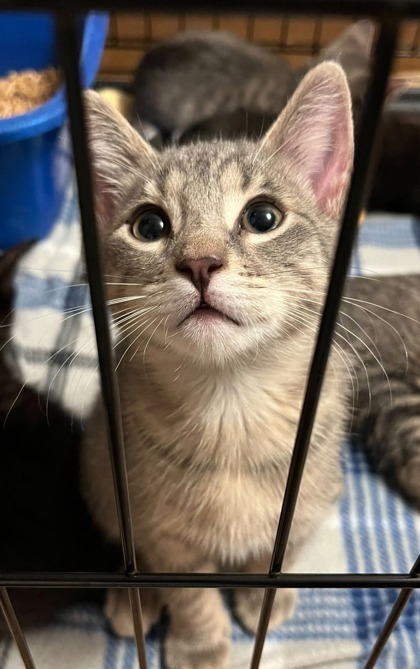 Charlie