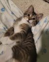 Bert photo 3