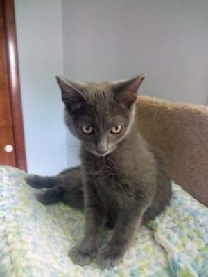 Serenity, Baby Female unknown