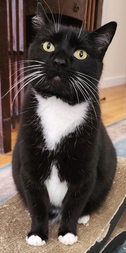 Felix
