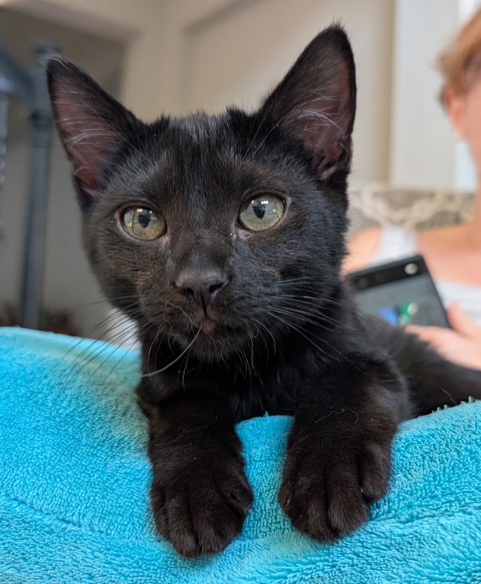 Bruce & Peter 5.10.25