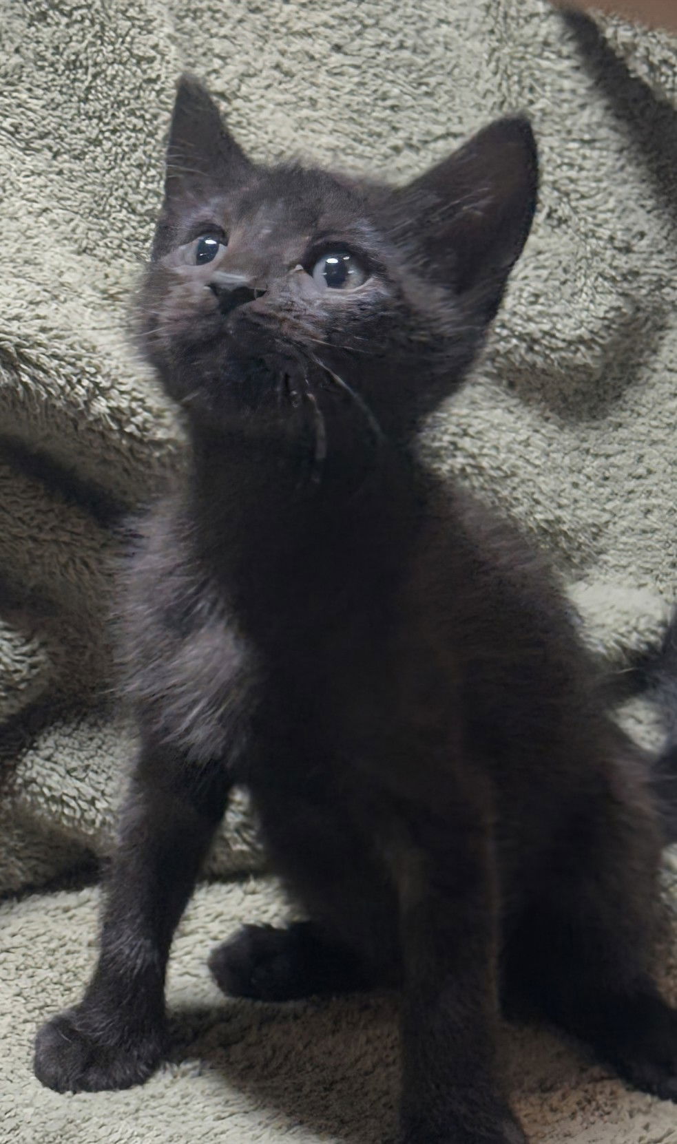 Bruce & Peter 5.10.25