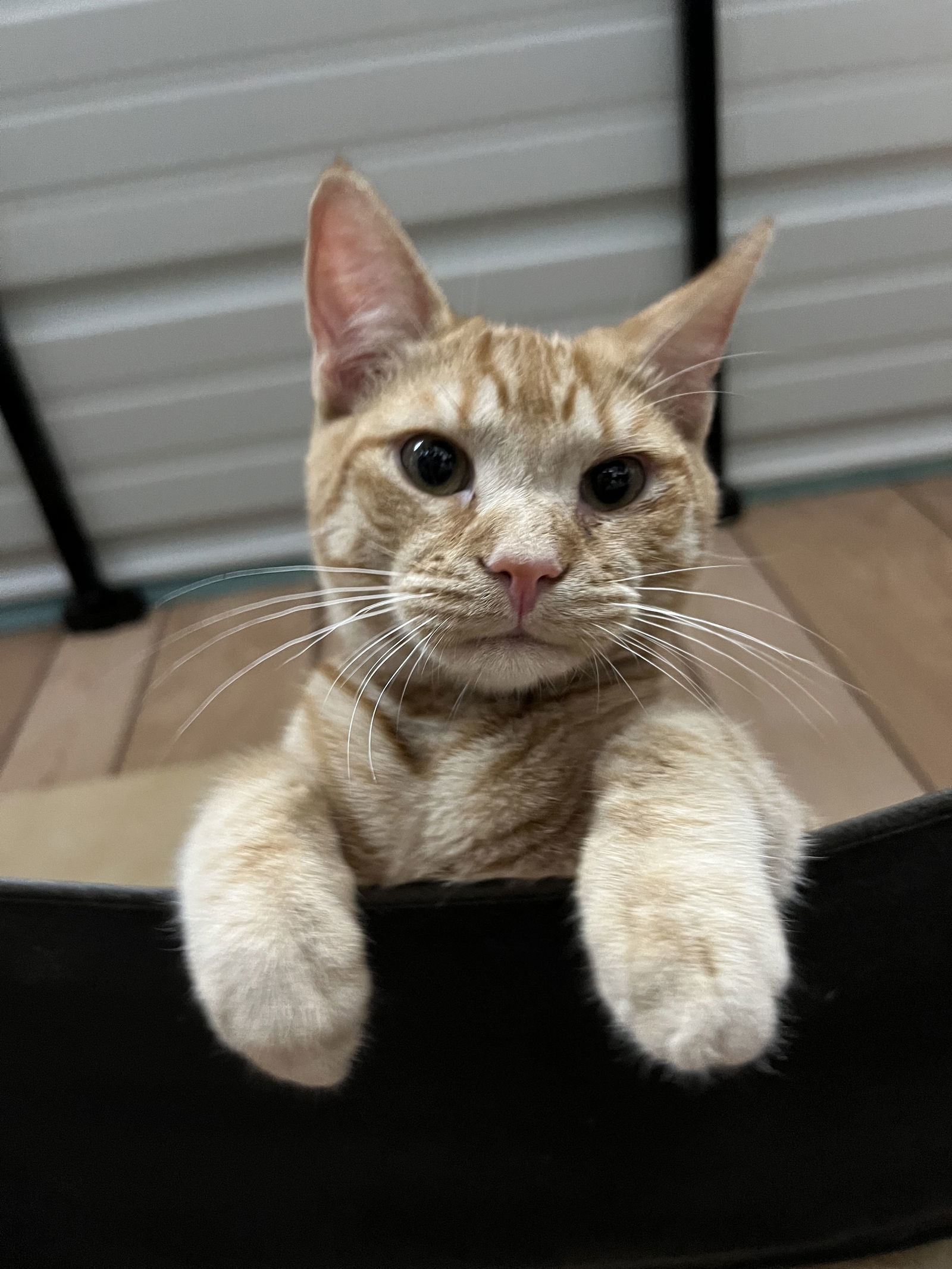 Peter & Bruce 5.10.25