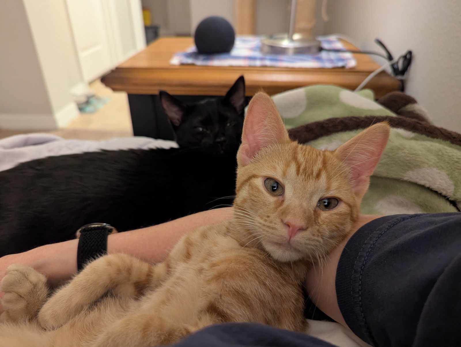 Peter & Bruce 5.10.25