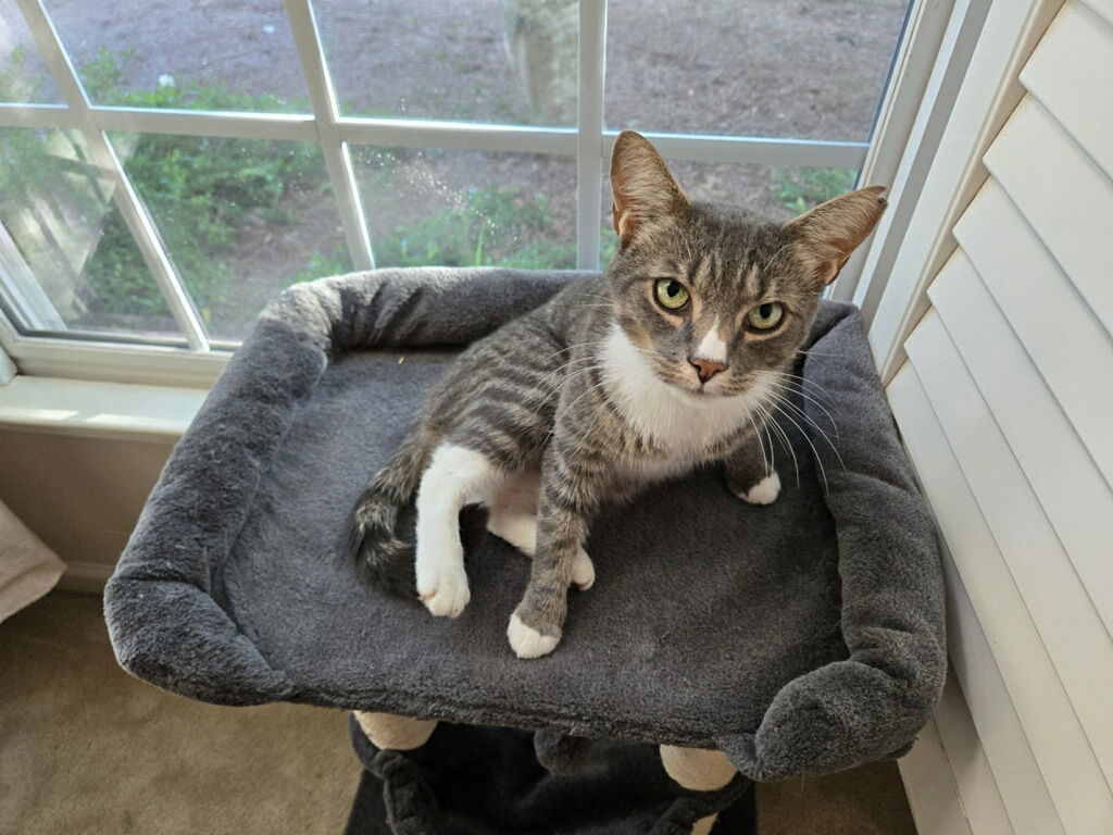 Furlow