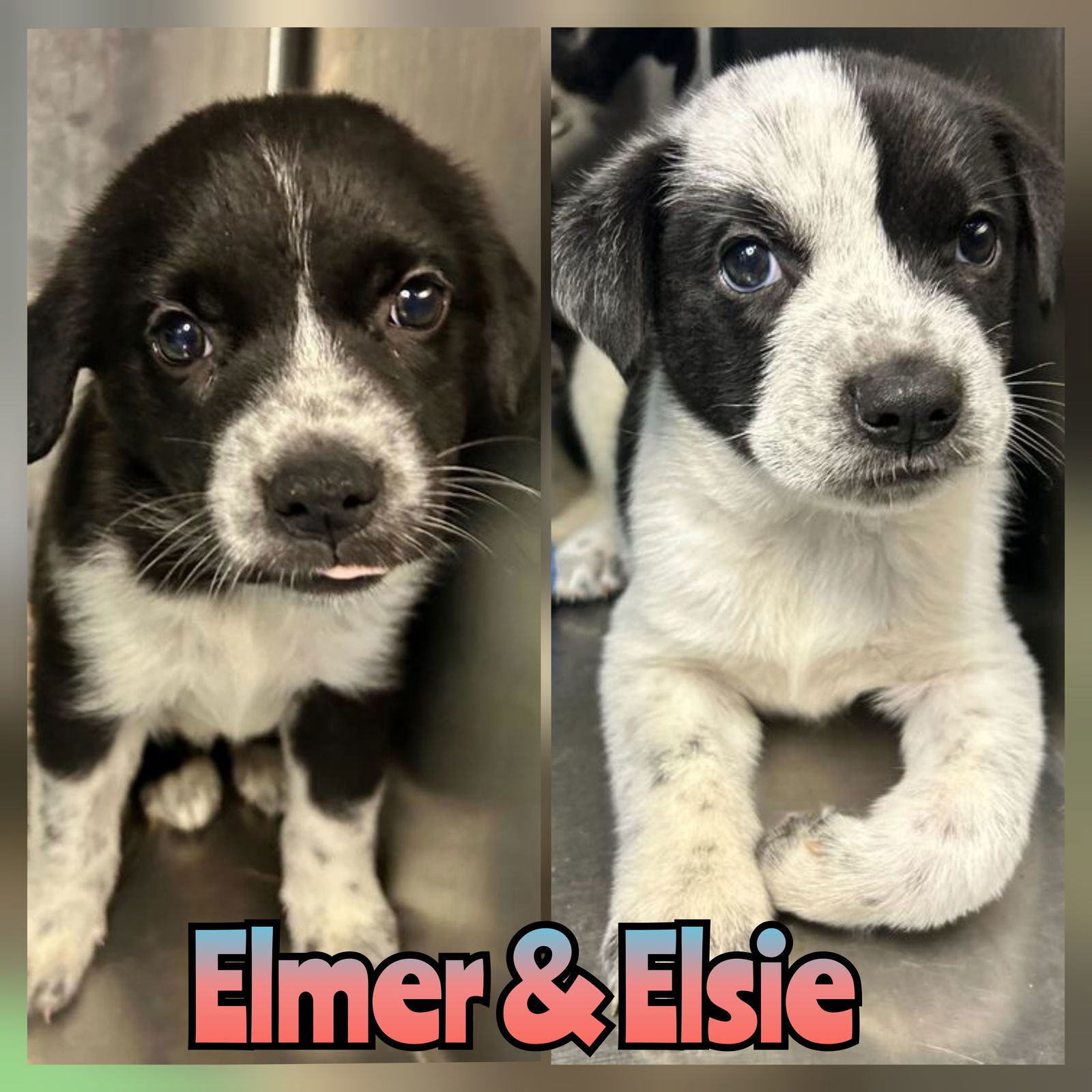 ELMER