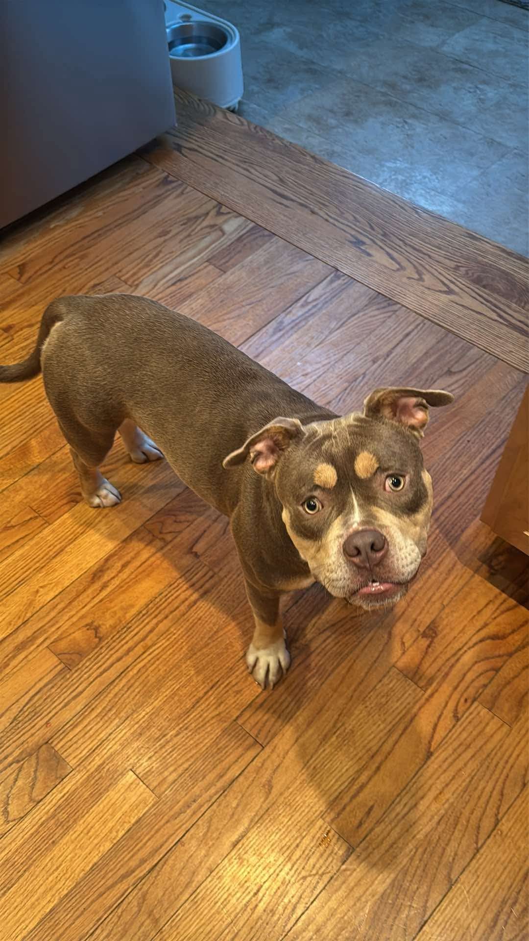 BEVERLY