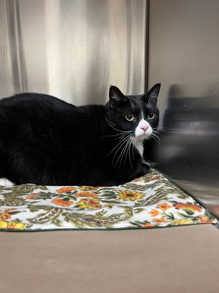 Tux
