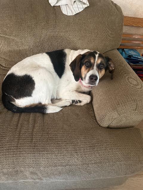 Lily
