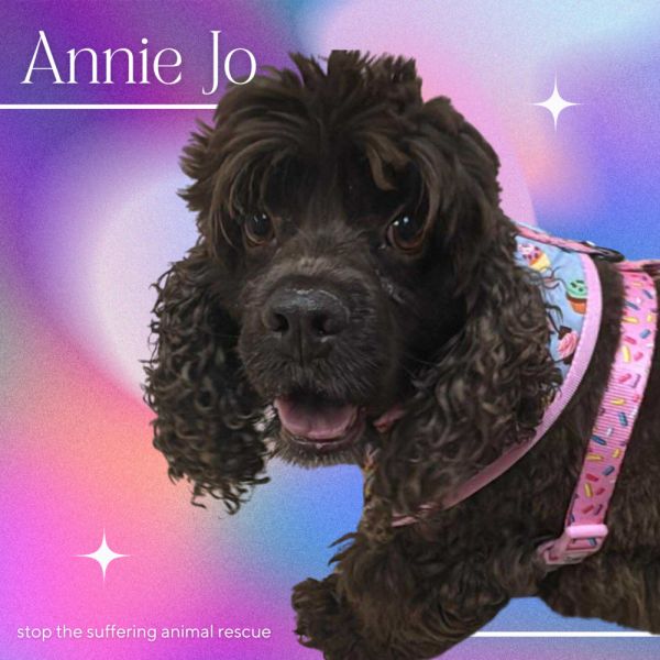 Annie Jo thumbnail 2