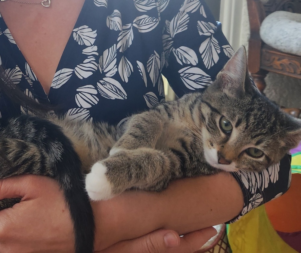 Electra (bonded to Flash)