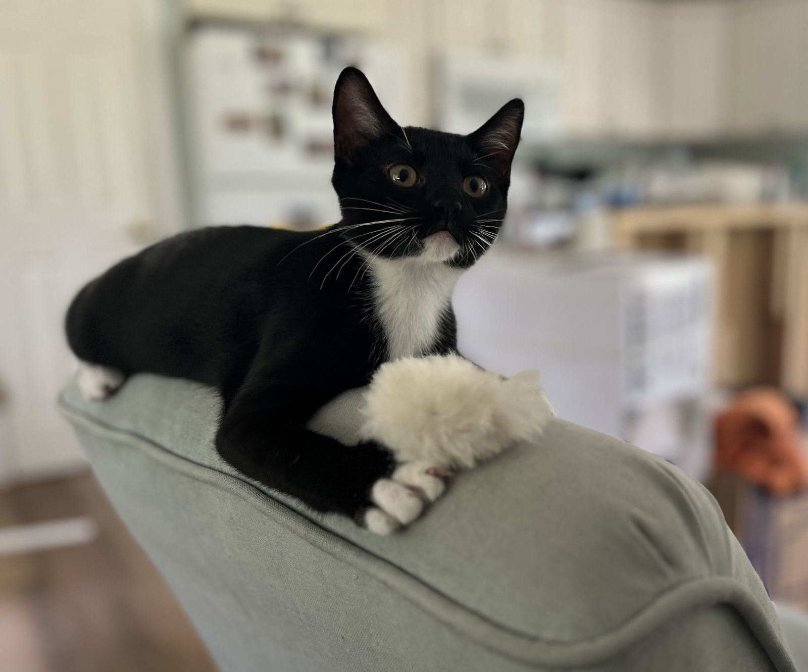 Tux