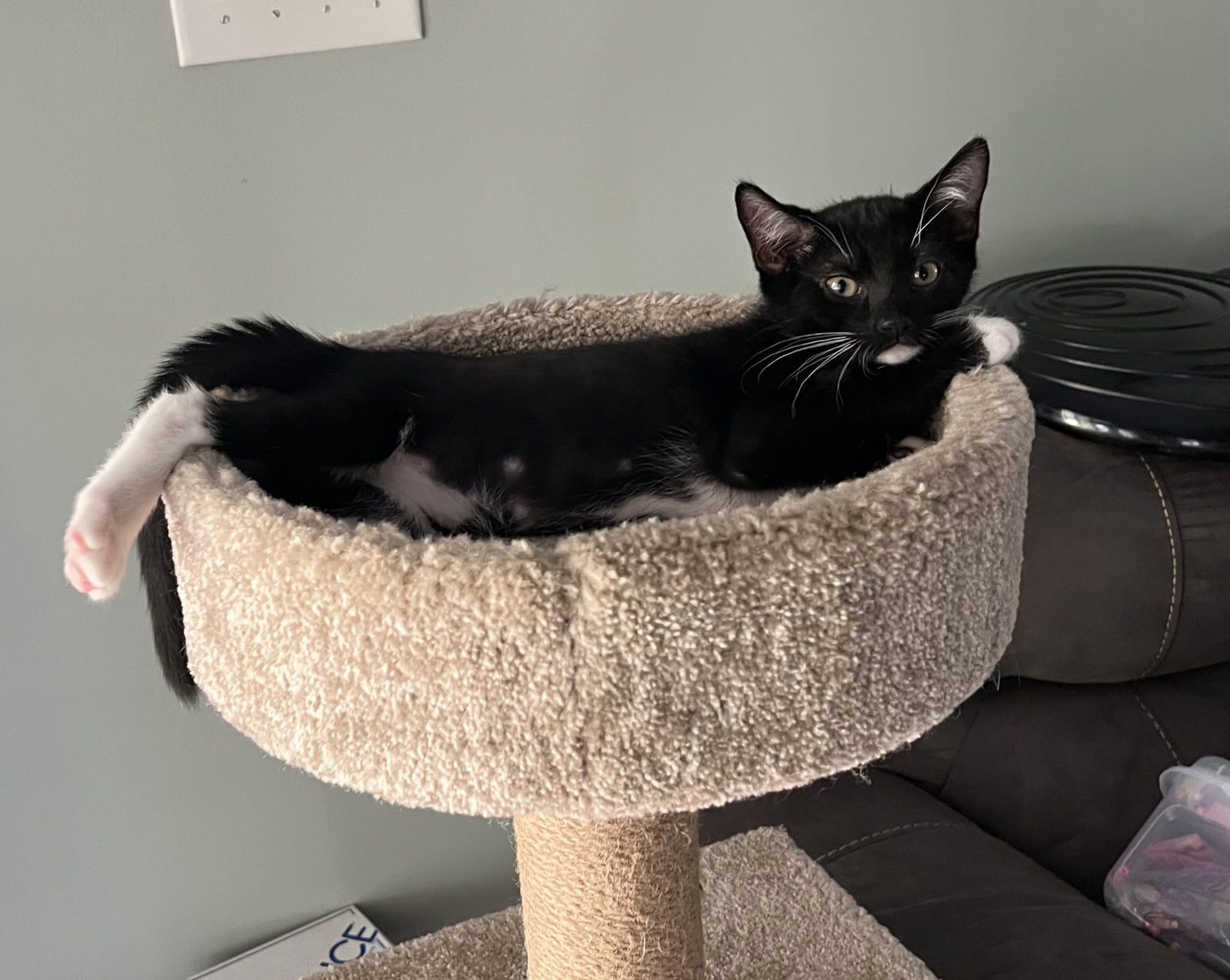 Tux
