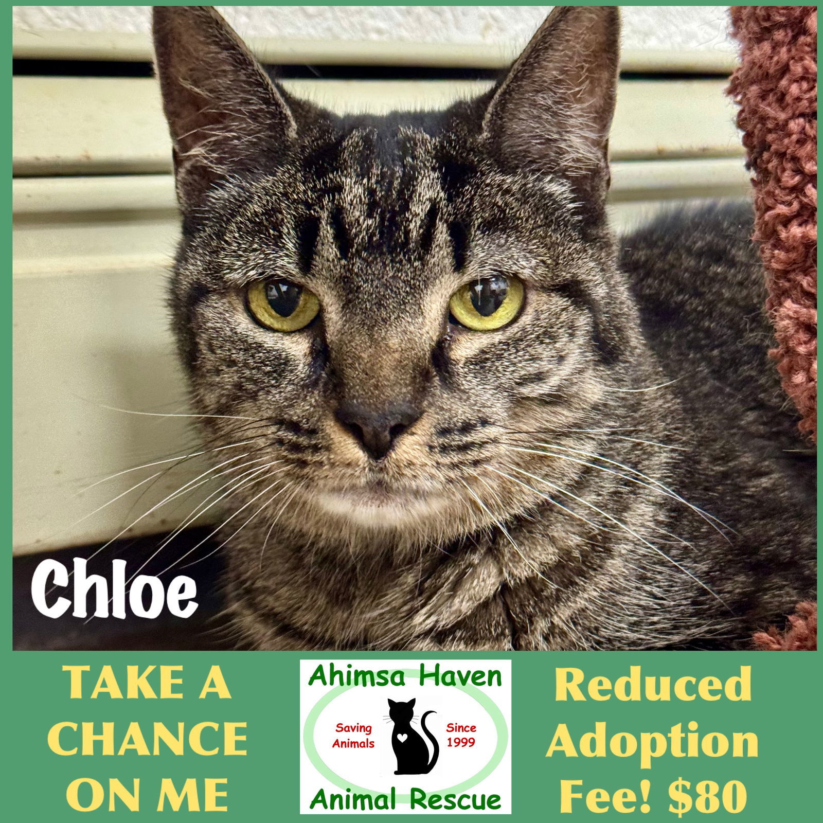 Chloe