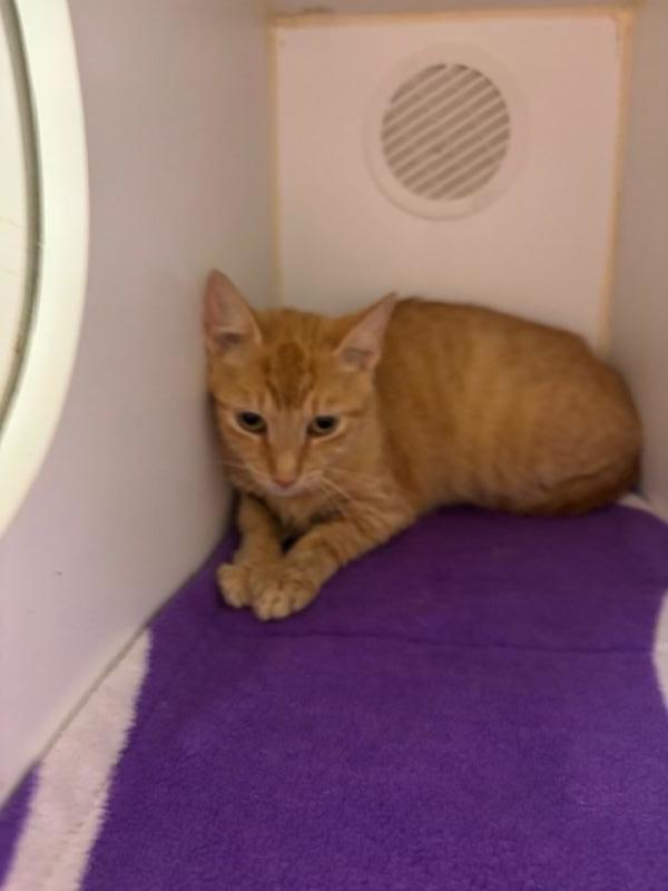 Pheonix Is At Petco