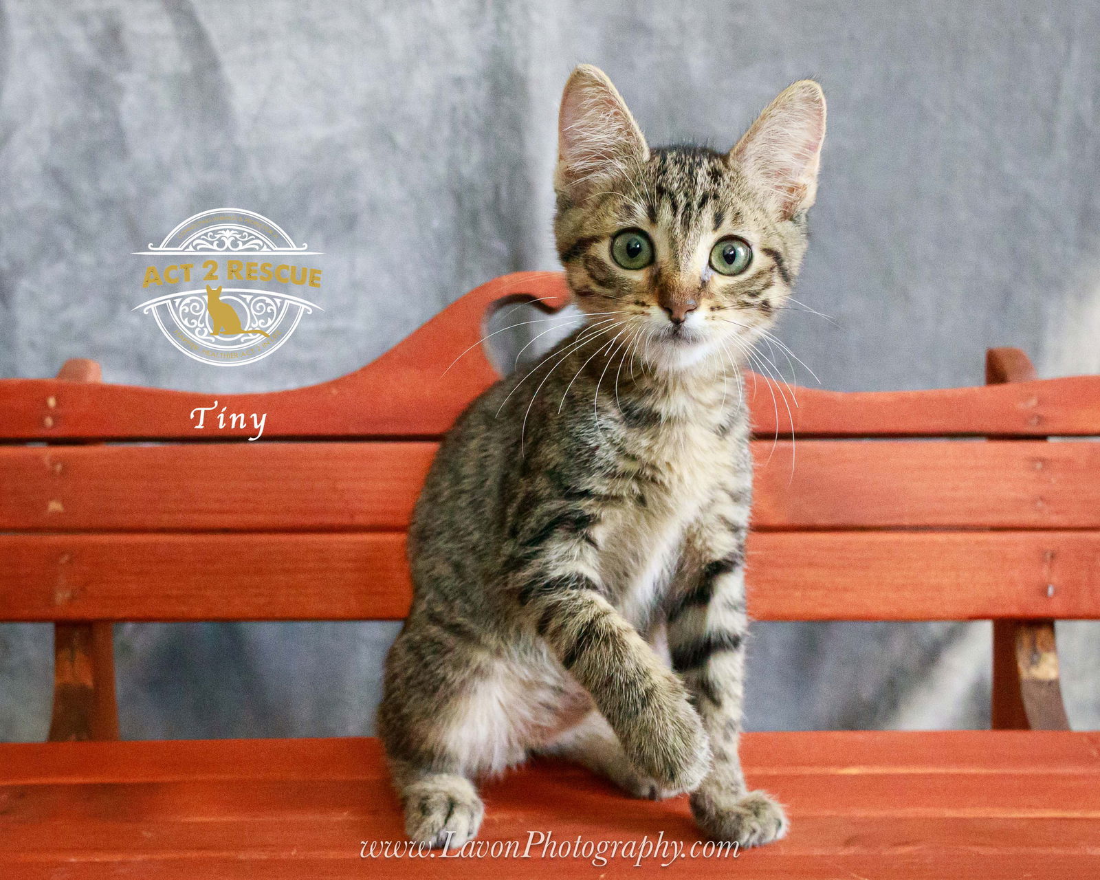 Tiny