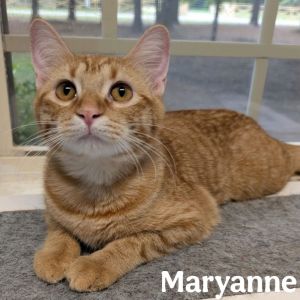 Maryanne, Young Female unknown