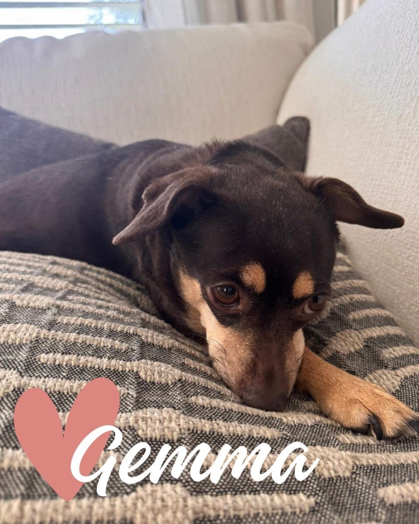 Gemma
