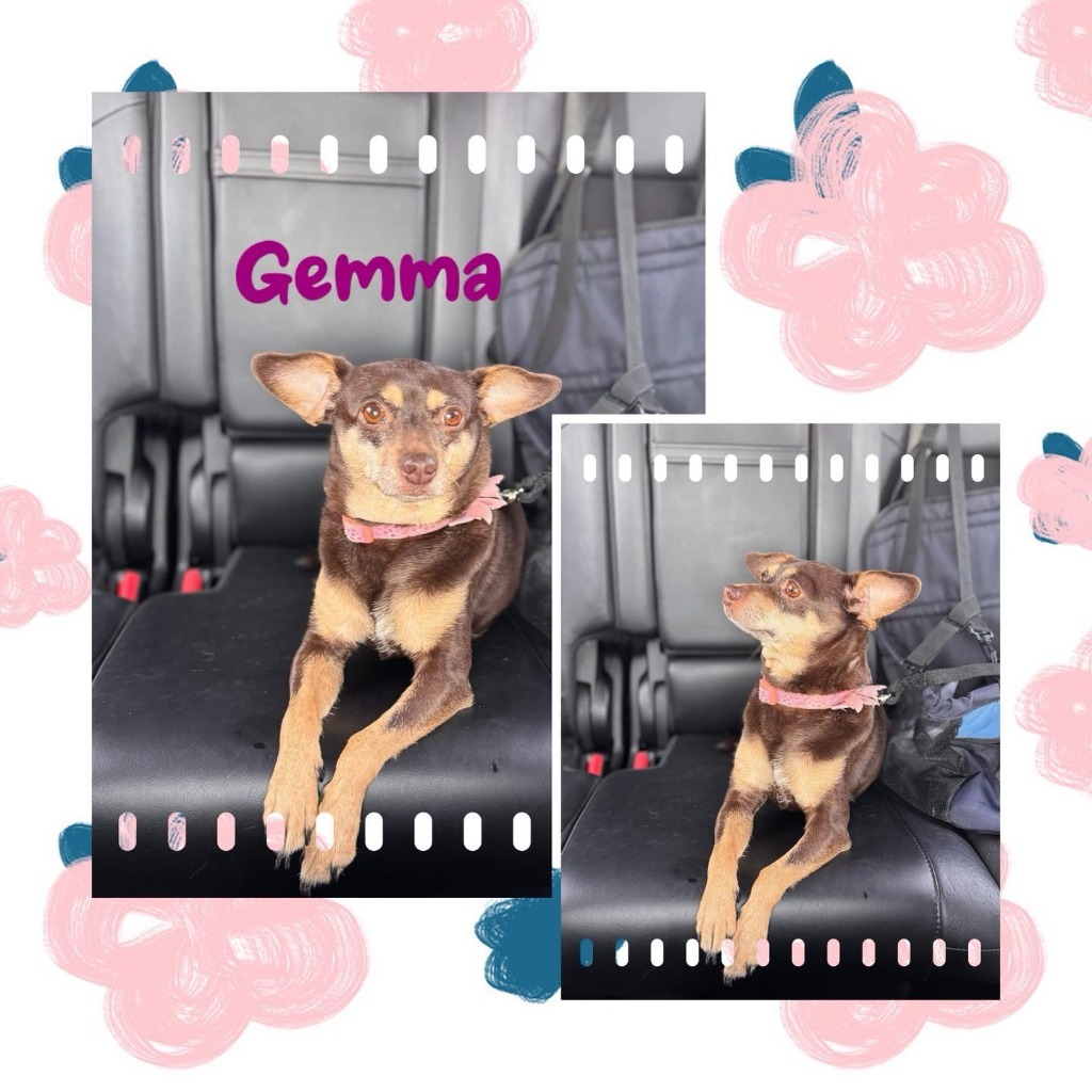 Gemma