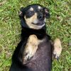 Littles (COH-A-64699) photo 2