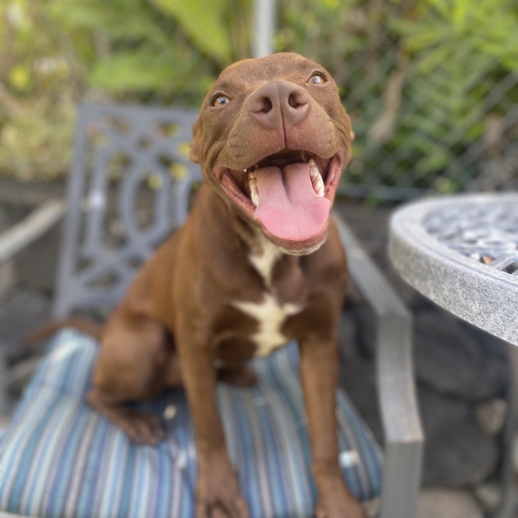 Luna