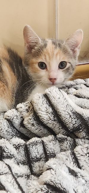 Penelope, Baby Female unknown