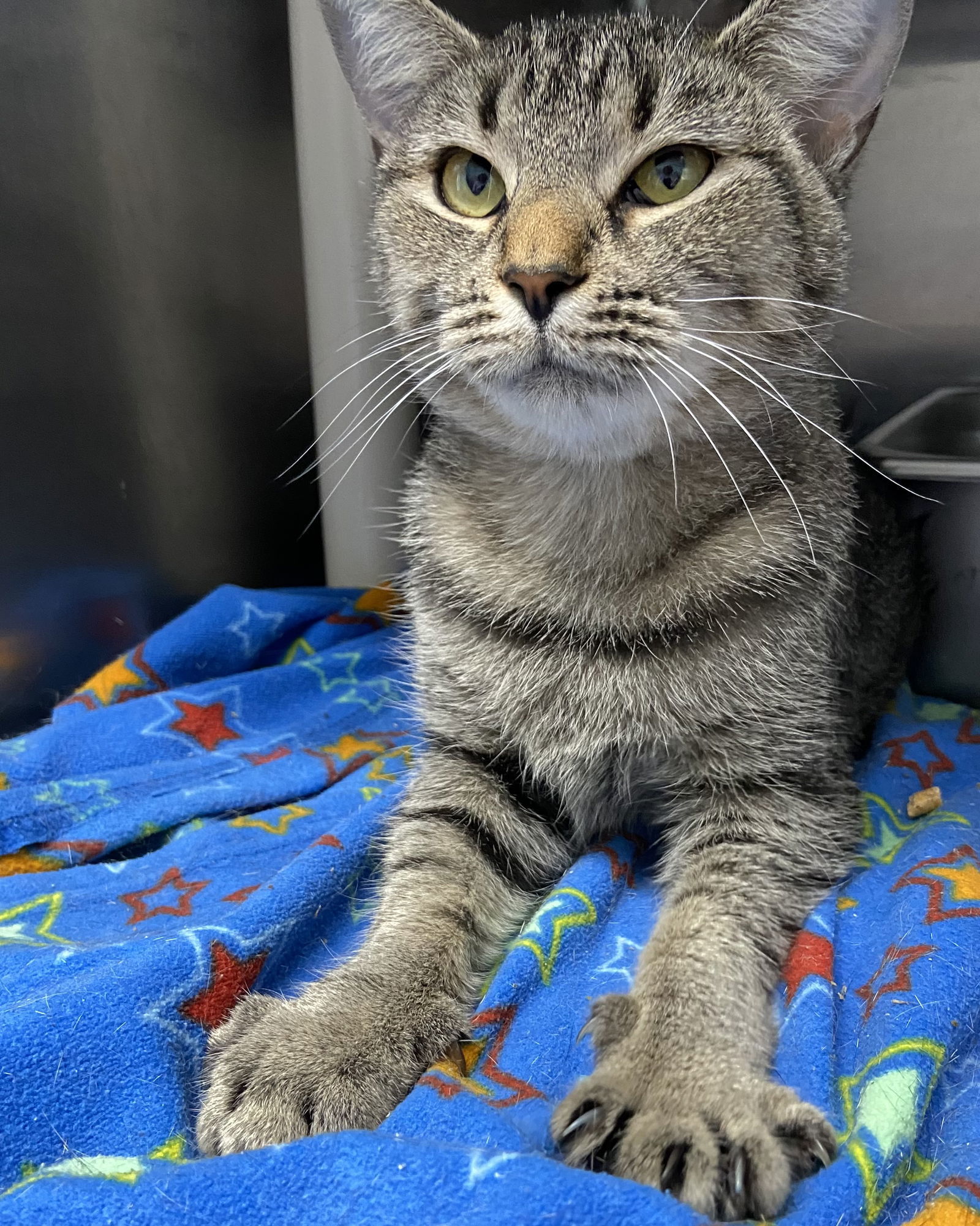 Zinnia: At shelter