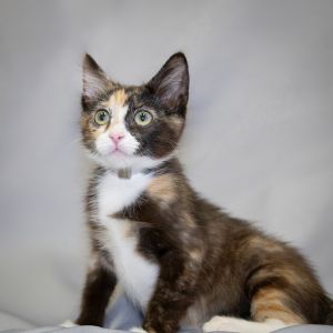Perly, Baby Female unknown