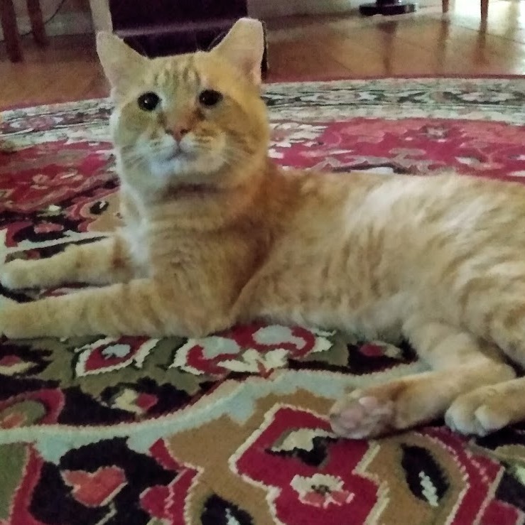 Oscar