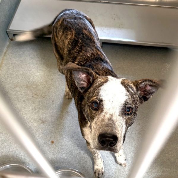 Fwt Barry thumbnail 2