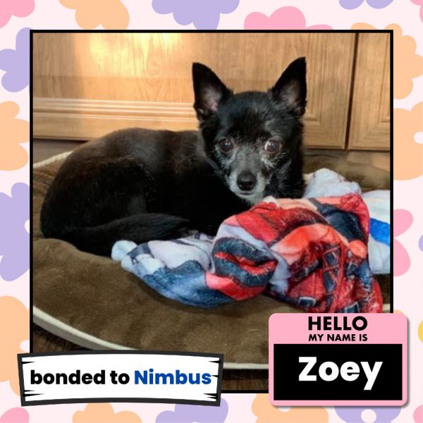 Zoey