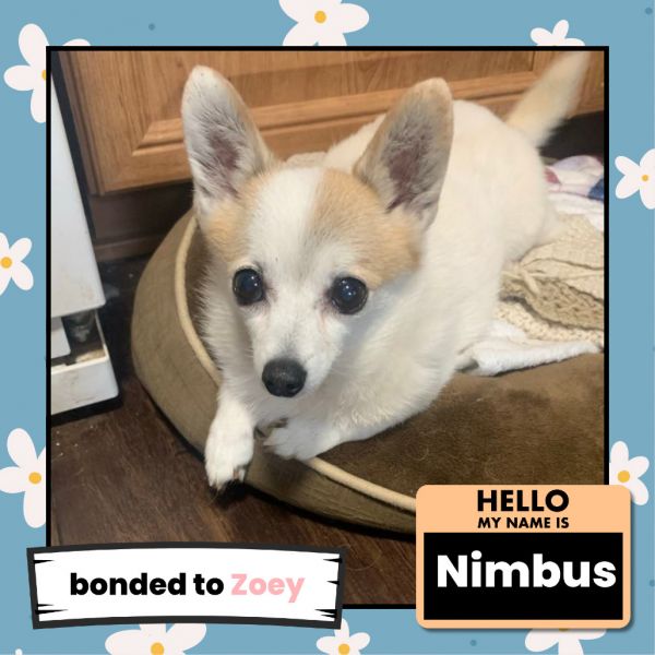 Nimbus
