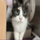 Mama Bella Houston thumbnail 2