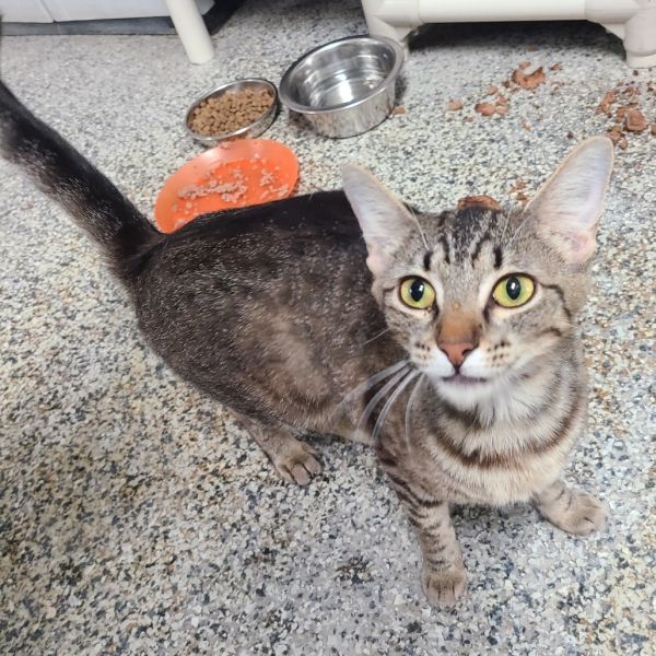 Mama Marina Houston thumbnail 6