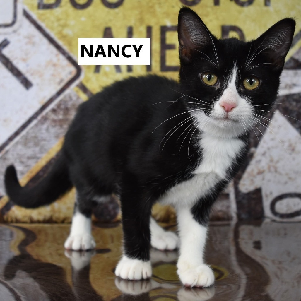 Nancy