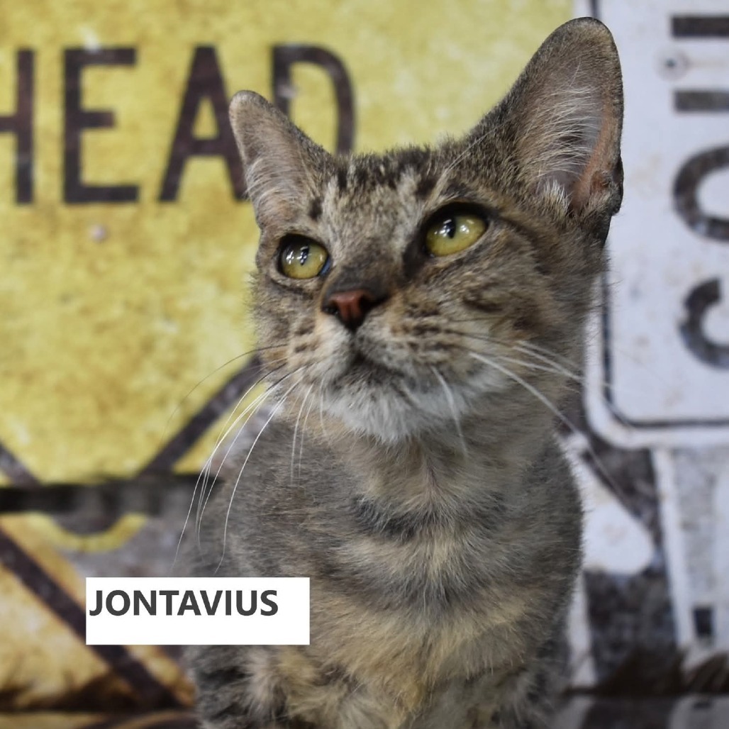 Jontavius