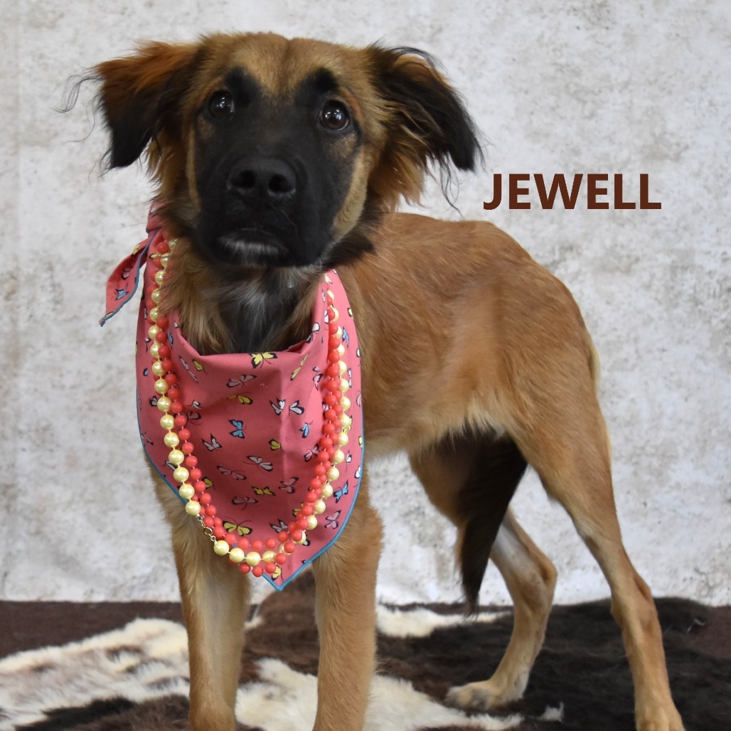 Jewel