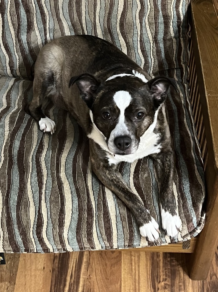 Maggie