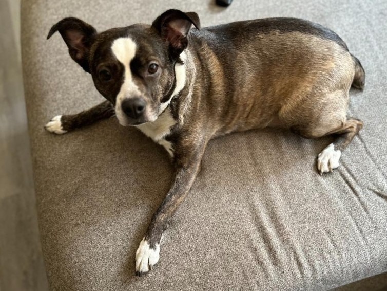 Maggie