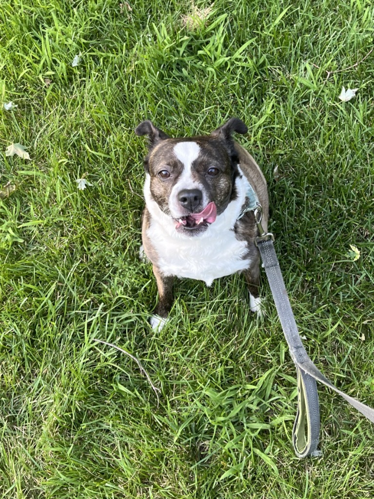 Maggie
